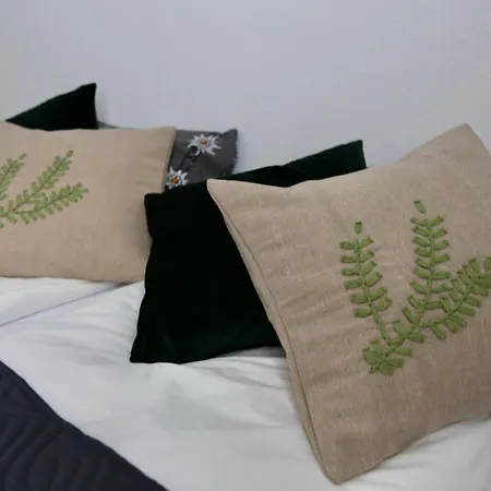 Alp Centre Location With Traditional Design And Self Check-in * Engelberg