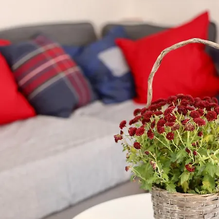 Apartment Alp Centre Location With Traditional Design And Self Check-in Engelberg