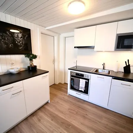 Alp Centre Location With Traditional Design And Self Check-in Engelberg