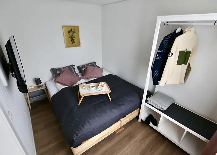 Alp Centre Location With Traditional Design And Self Check-in