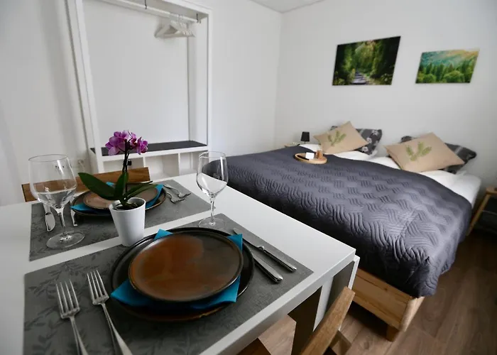 Alp Centre Location With Traditional Design And Self Check-in Engelberg