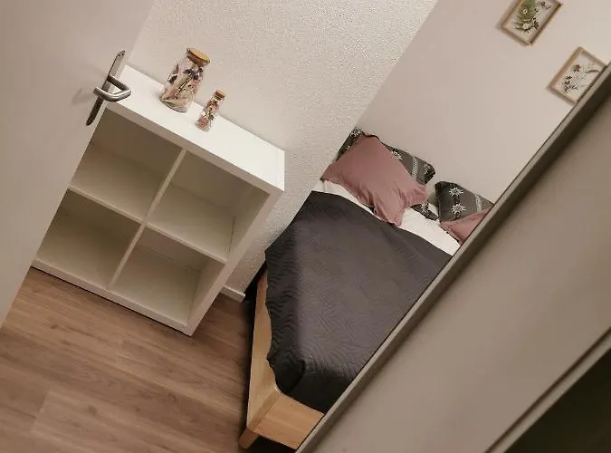 Alp Centre Location With Traditional Design And Self Check-in