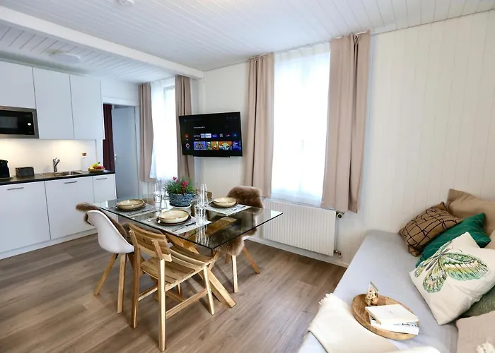 Alp Centre Location With Traditional Design And Self Check-in * 엥겔베르그