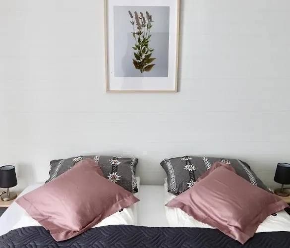 Alp Centre Location With Traditional Design And Self Check-in Apartment