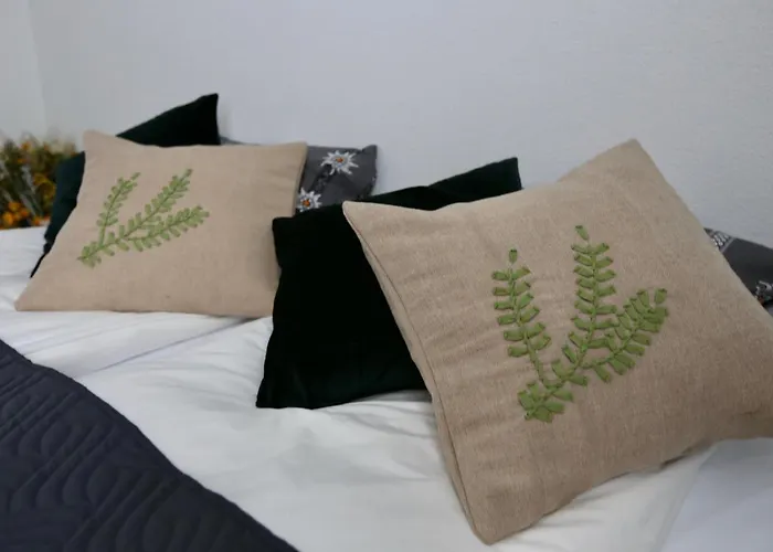 Alp Centre Location With Traditional Design And Self Check-in * Engelberg